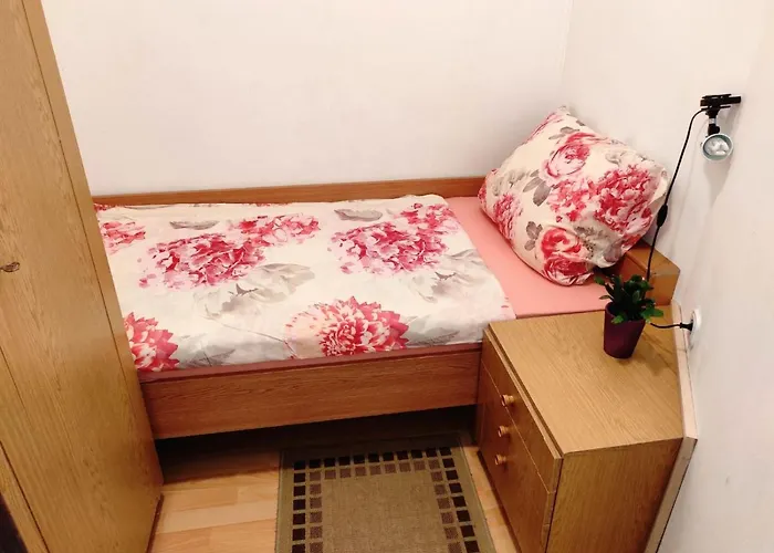 Dominik * 茨里克韦尼察